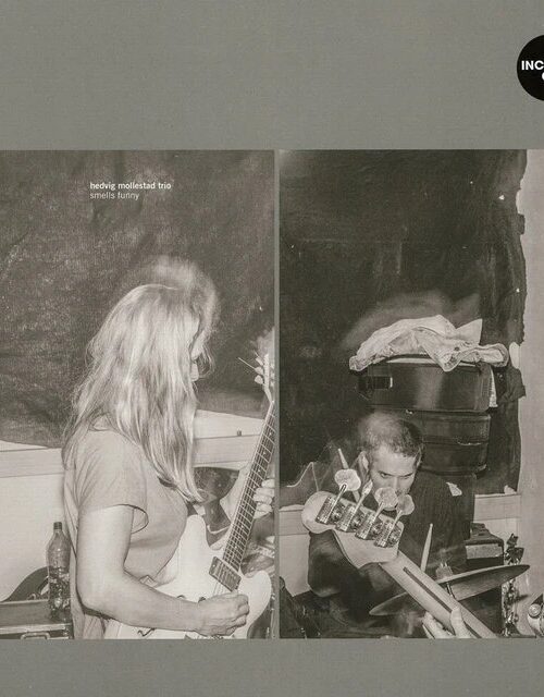 HEDVIG MOLLESTAD TRIO - SMELLS FUNNY Vinyl Record