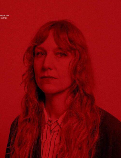 HEDVIG MOLLESTAD TRIO - BEES IN THE BONNET Vinyl Record