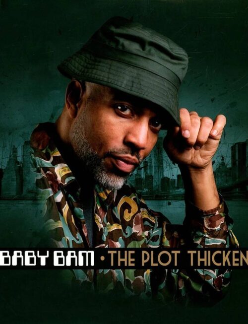 BABY BAM - THE PLOT THICKENS Vinyl Record