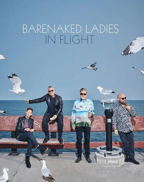 BARENAKED LADIES - IN FLIGHT Vinyl Record
