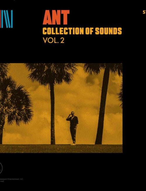 ANT - COLLECTION OF SOUNDS VOL.2 Vinyl Record