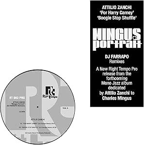 ATTILIO ZANCHI - Mingus Portrait (DJ Farrapo Remixes) Vinyl Record