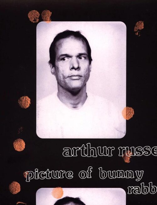 ARTHUR RUSSELL - PICTURE OF BUNNY RABBIT Vinyl Record