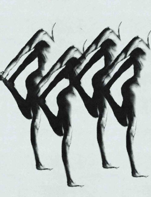 ANIMAL COLLECTIVE - DEFEAT Vinyl Record