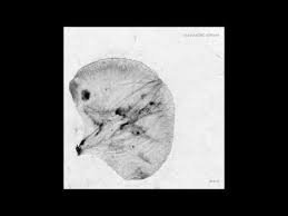 Alessandro Adriani - Embryo Vinyl Record