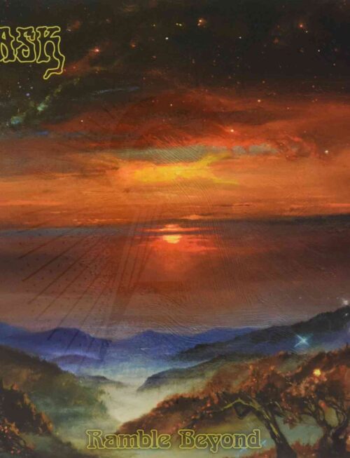 BASK - RAMBLE BEYOND Vinyl Record