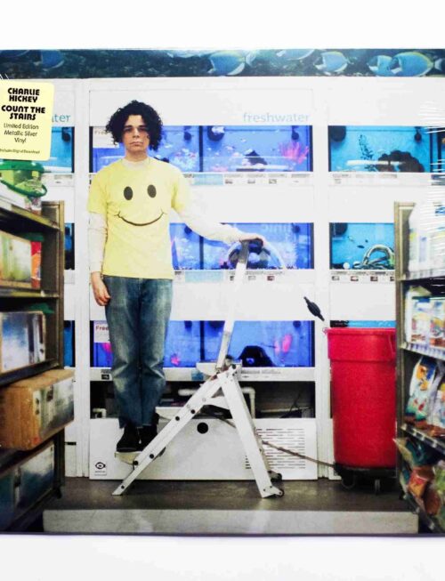 CHARLIE HICKEY - COUNT THE STAIRS Vinyl Record