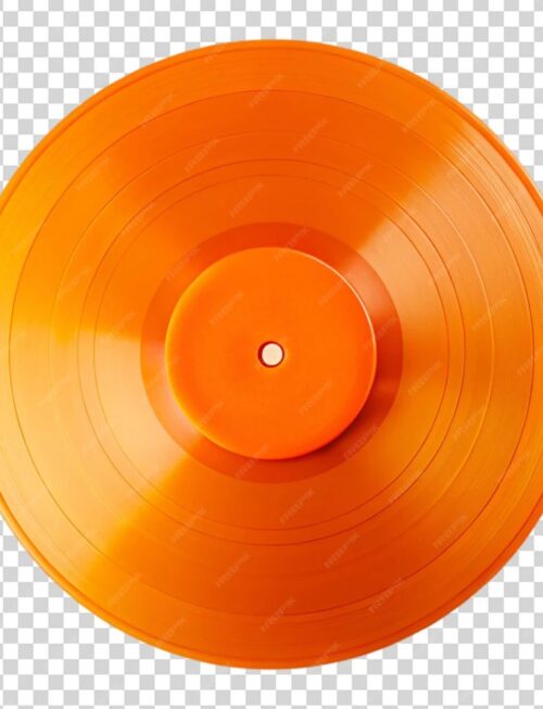 AFTER THE FALL - Fort Orange Vinyl Record