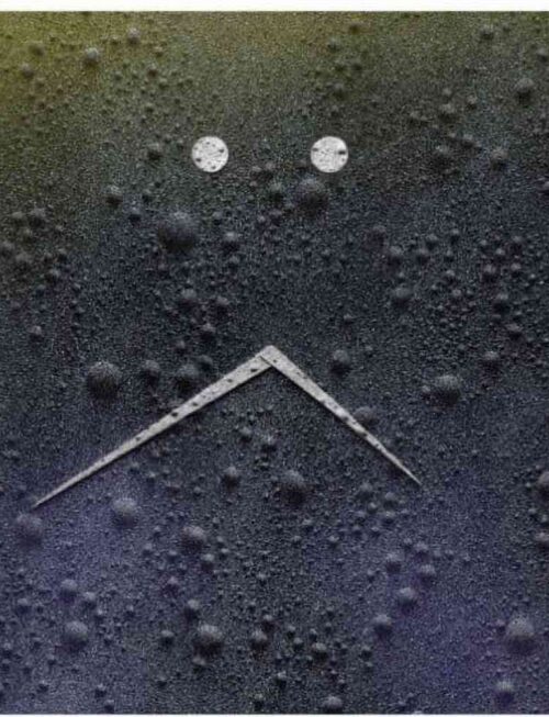 CO LA - Moody Coup Vinyl Record