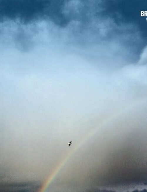 BROEMELCARL - WISHED OUT Vinyl Record