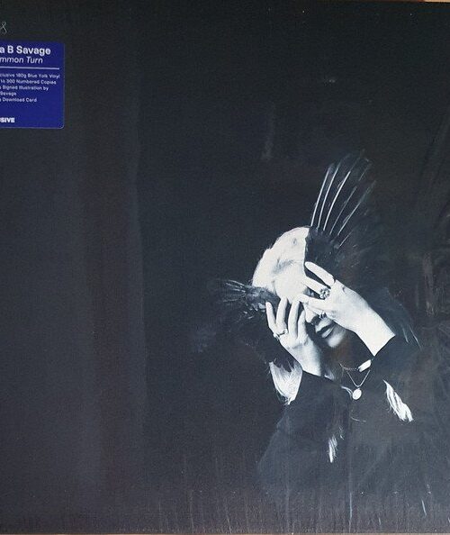 ANNA B SAVAGE - A Common Turn Vinyl Record
