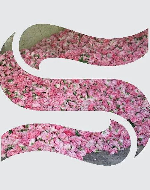 BRAXE + FALCON - STEP BY STEP EP Vinyl Record