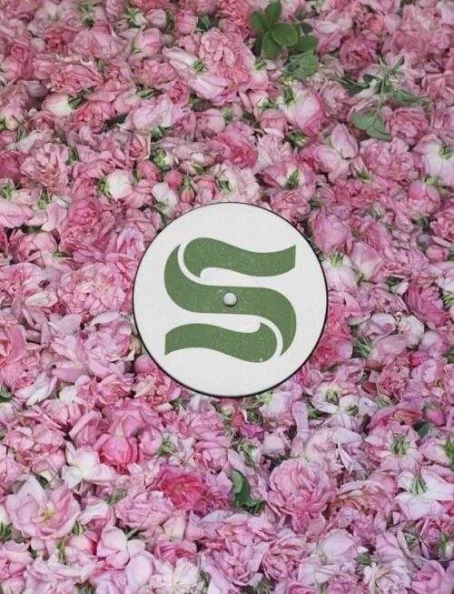 BRAXE + FALCON - STEP BY STEP REMIXES Vinyl Record