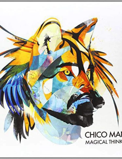 CHICO MANN - Magical Thinking Vinyl Record