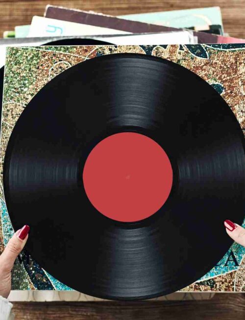 1349 - The Wolf & The King Vinyl Record