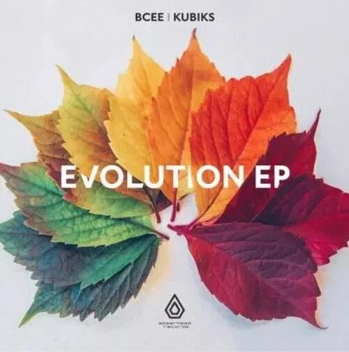 BCEE & KUBIKS - Evolution EP Vinyl Record