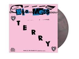 BIG MESS - TERRY Vinyl Record