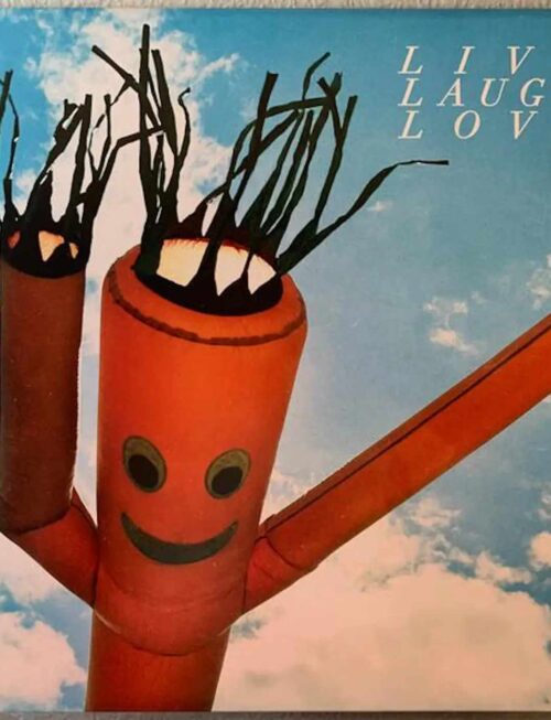 CHASTITY BELT - LIVE LAUGH LOVE Vinyl Record