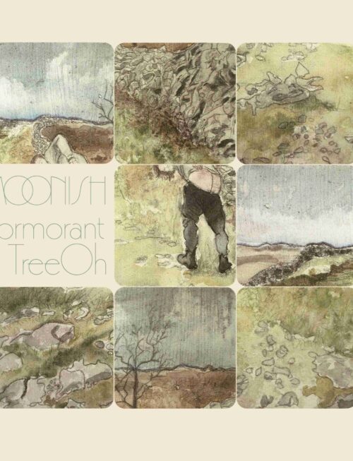 CORMORANT TREE OH - MOONISH Vinyl Record