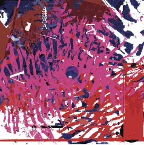 VINICIO ADAMES - Amazonia Vinyl Record