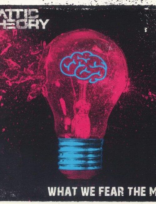 ATTIC THEORY - WHAT WE FEAR THE MOST Vinyl Record