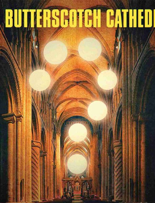 BUTTERSCOTCH CATHEDRAL - The Butterscotch Cathedral Vinyl Record