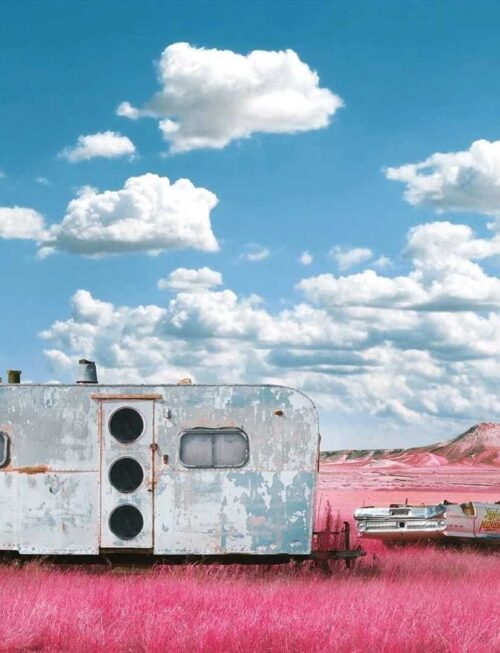 BARTON THINK - My Last Album Vinyl Record