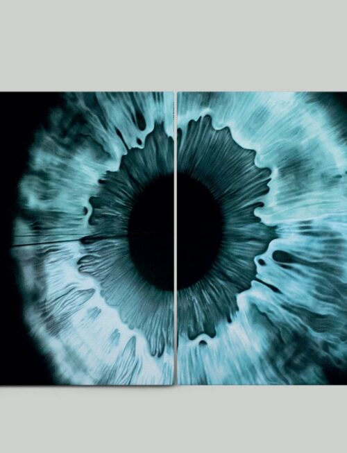 HEMS - Chaotic Affair Vinyl Record