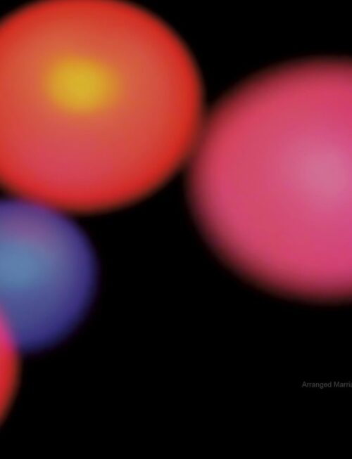 ARRANGED MARRIAGE NP - Arranged Marriage Np Vinyl Record