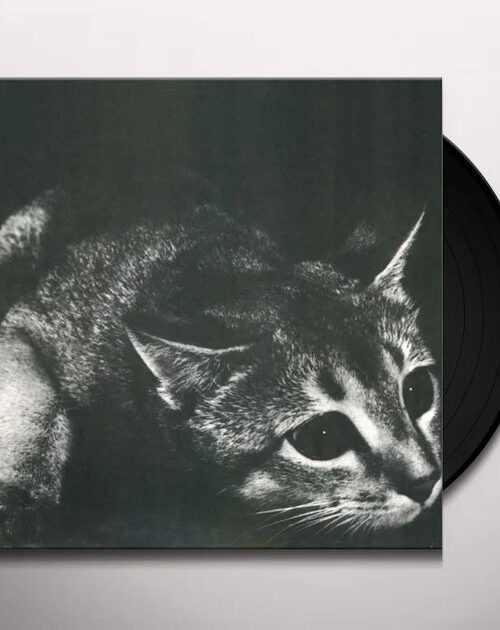 CINDY - CINDY (RE-ISSUE) Vinyl Record