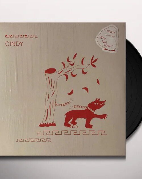 CINDY - WHY NOT NOW Vinyl Record