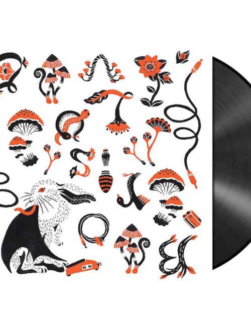 BORIS - LOVE & EVOL Vinyl Record