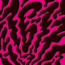 16-17 - Phantom Limb Vinyl Record