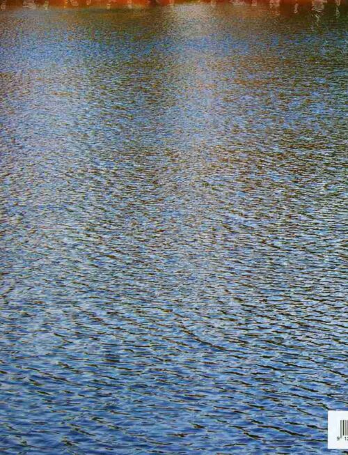 BONJINTAN - DENTAL KAFKA Vinyl Record