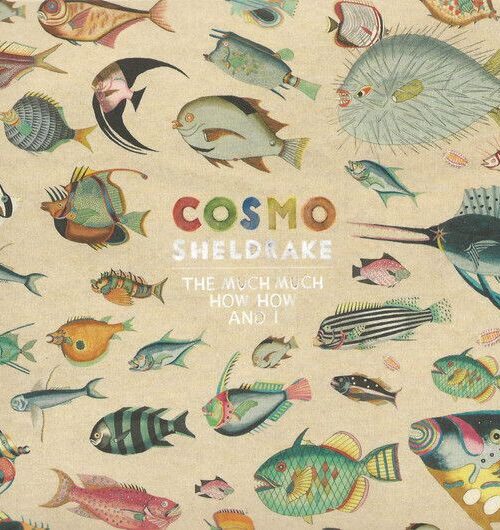 COSMO SHELDRAKE - THE MUCH MUCH HOW HOW AND I Vinyl Record