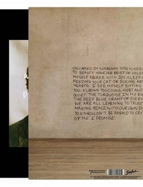 ARLO PARKS - COLLAPSED IN SUNBEAMS Vinyl Record