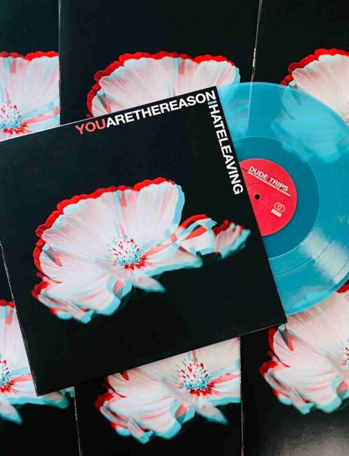 AERIAL SALAD - R.O.I Vinyl Record