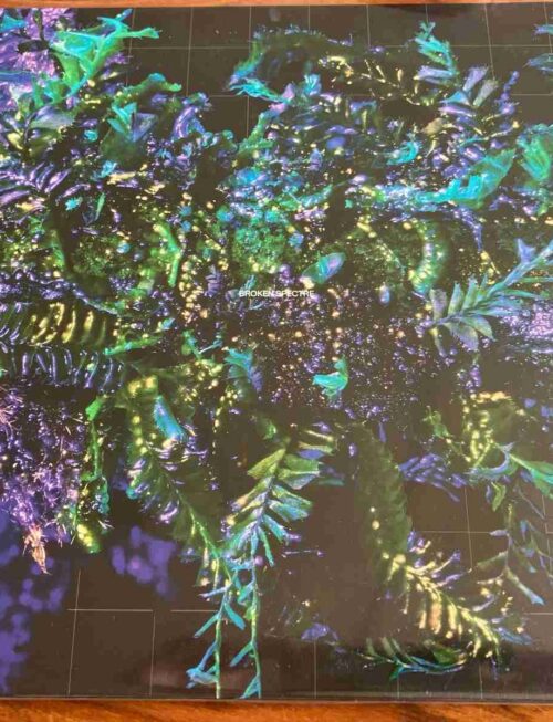 BEN FROST - BROKEN SPECTRE Vinyl Record