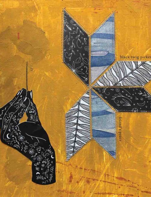 BLACK TWIG PICKERS - Friends Peace Vinyl Record