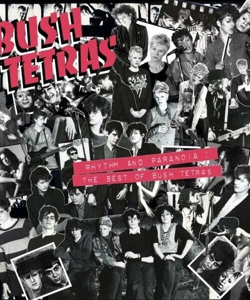 BUSH TETRAS - RHYTHM AND PARANOIA: THE BEST OF BUSH TETRAS Vinyl Record