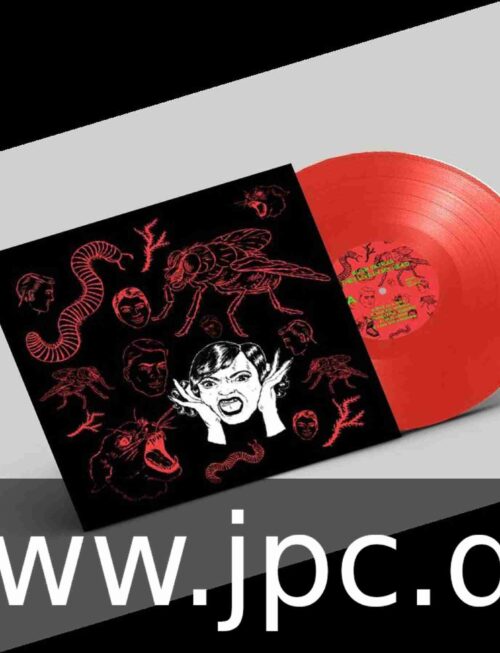 BUSH TETRAS - THEY LIVE IN MY HEAD Vinyl Record