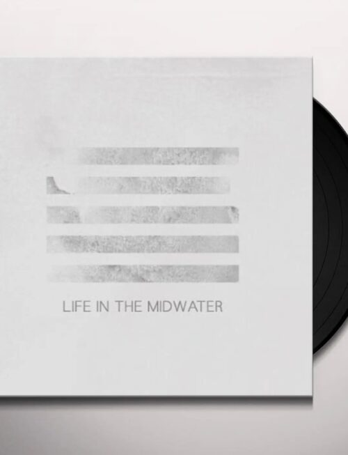 AISHA BURNS - LIFE IN THE MIDWATER Vinyl Record