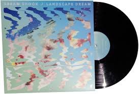 ABRAM SHOOK - Landscape Dream Vinyl Record