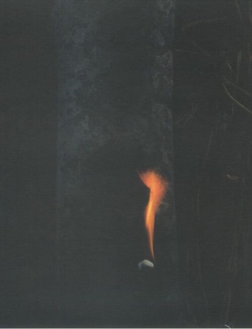 BZDB - JUMP SHIP, SIT LEAN, BE STILL, STAND TALL Vinyl Record