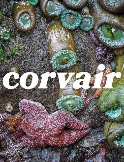 CORVAIR - CORVAIR Vinyl Record