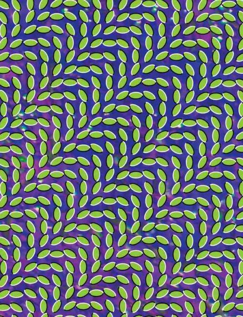 ANIMAL COLLECTIVE - MERRIWEATHER POST PAVILION Vinyl Record