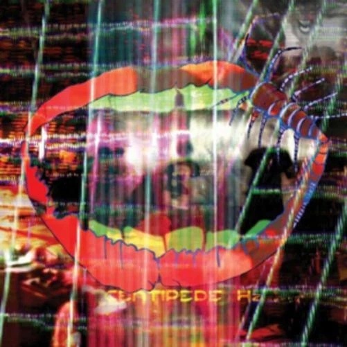 ANIMAL COLLECTIVE - CENTIPEDE HZ Vinyl Record