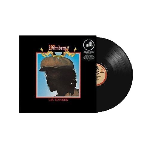 CAT POWER - WANDERER Vinyl Record