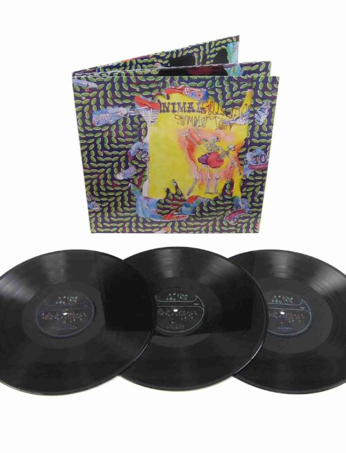 ANIMAL COLLECTIVE - BALLET SLIPPERS Vinyl Record