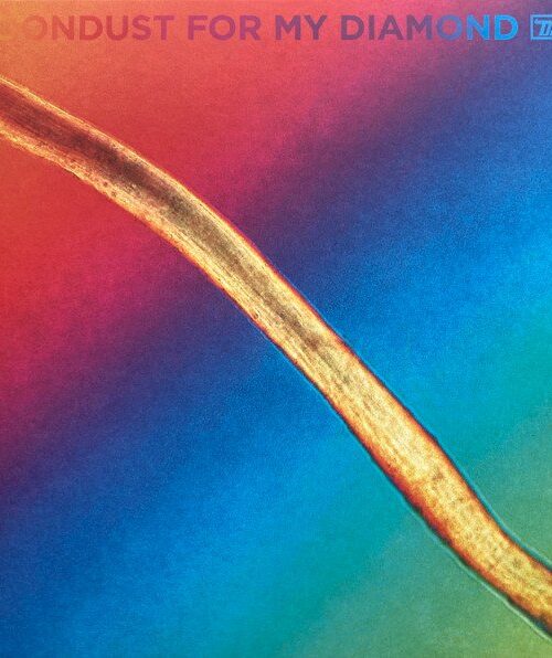 HAYDEN THORPE - MOONDUST FOR MY DIAMOND Vinyl Record